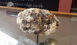 Miếng phân cá voi có giá 400 triệu đồng/kg